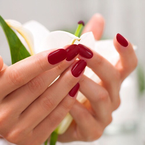 WORLD NAILS & SPA - ARTIFICIAL NAILS SERVICES